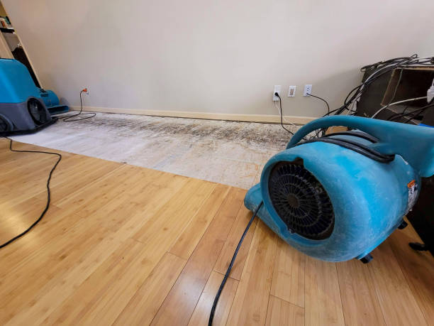 Professional Water Damage Repair technician working in Kearsarge, NH